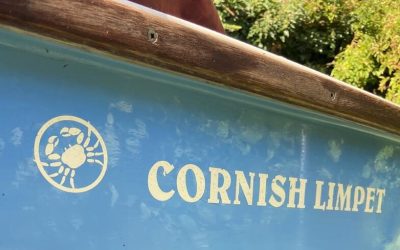 Cornish Crabber Limpet (n°44)