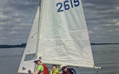 Gull (n° voile 2615)